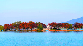 南京玄武湖
