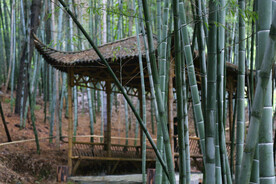 竹林凉亭