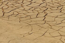 皲裂的地面
