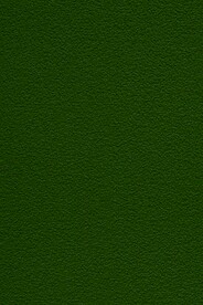绿色背景