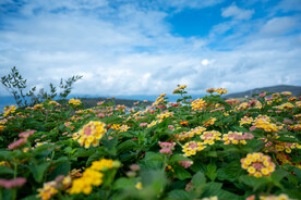 洱海理想邦圣托里尼