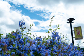 洱海理想邦圣托里尼 