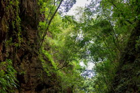 云南 九乡 溶洞 