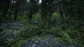 济州火山岛和熔岩洞 