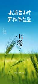 小满节气海报