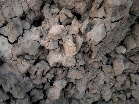 干旱的土团土地