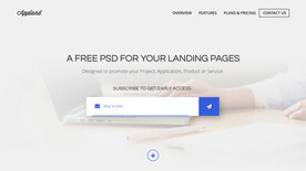 首页搜索大气网站