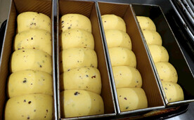 发酵好的馒头面团