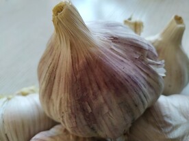 大蒜