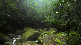 基纳巴卢山公园