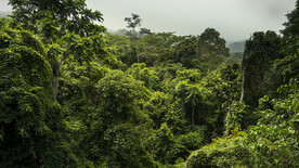 基纳巴卢山公园 
