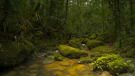 基纳巴卢山公园