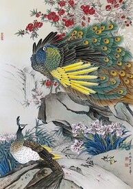 工笔孔雀