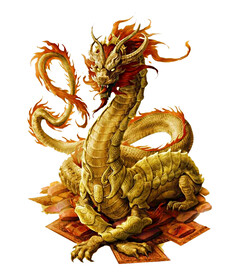 龙