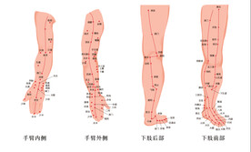 人体手与脚经络穴位图