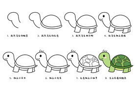 小乌龟简笔画教程图