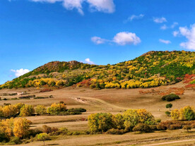 内蒙乌兰布统草原