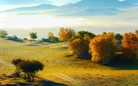 内蒙乌兰布统草原