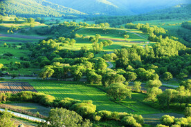 内蒙乌兰布统草原