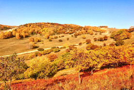 内蒙乌兰布统草原