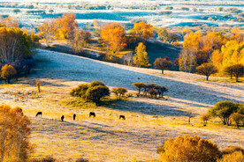 内蒙乌兰布统草原