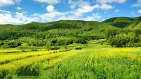 内蒙乌兰布统草原