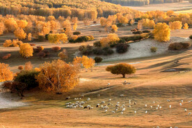 内蒙乌兰布统草原