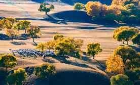 内蒙乌兰布统草原