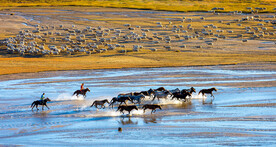 内蒙乌兰布统草原