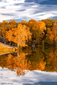 乌兰布统公主湖