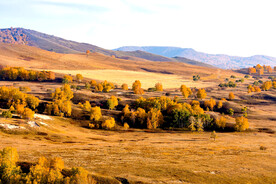 内蒙乌兰布统草原