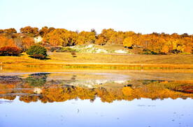 乌兰布统公主湖