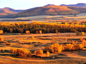 内蒙乌兰布统草原