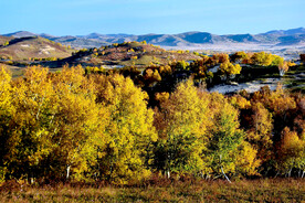 内蒙乌兰布统草原