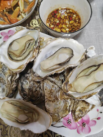 生蚝