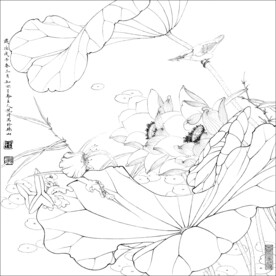 荷花线描