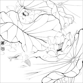 荷花线描