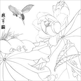 荷花线描