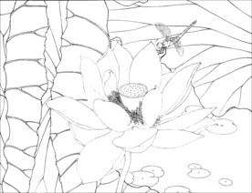 荷花线描