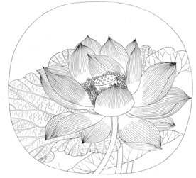 荷花线描