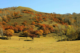 内蒙乌兰布统草原
