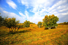 内蒙乌兰布统草原