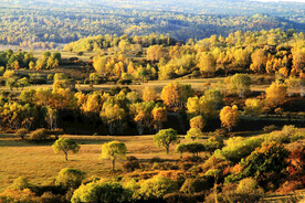 内蒙乌兰布统草原
