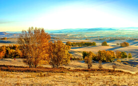内蒙乌兰布统草原