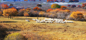 内蒙乌兰布统草原