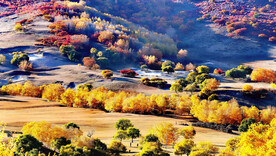 内蒙乌兰布统草原