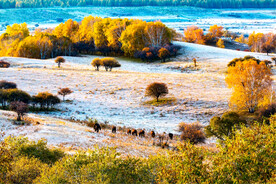 内蒙乌兰布统草原