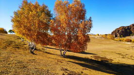 内蒙乌兰布统草原