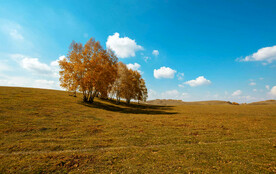 内蒙乌兰布统草原