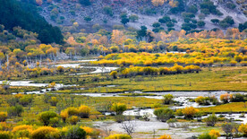 内蒙乌兰布统草原